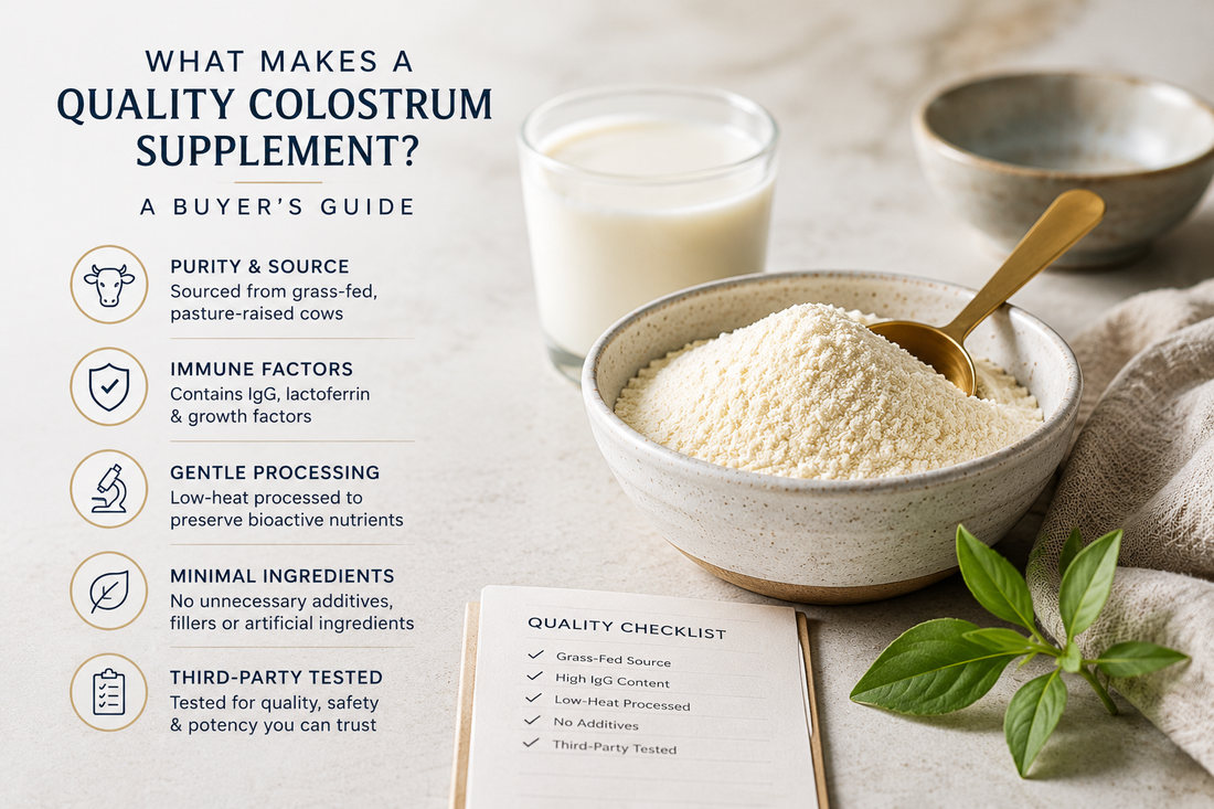 What Makes a Quality Colostrum Supplement? A Buyer's Guide