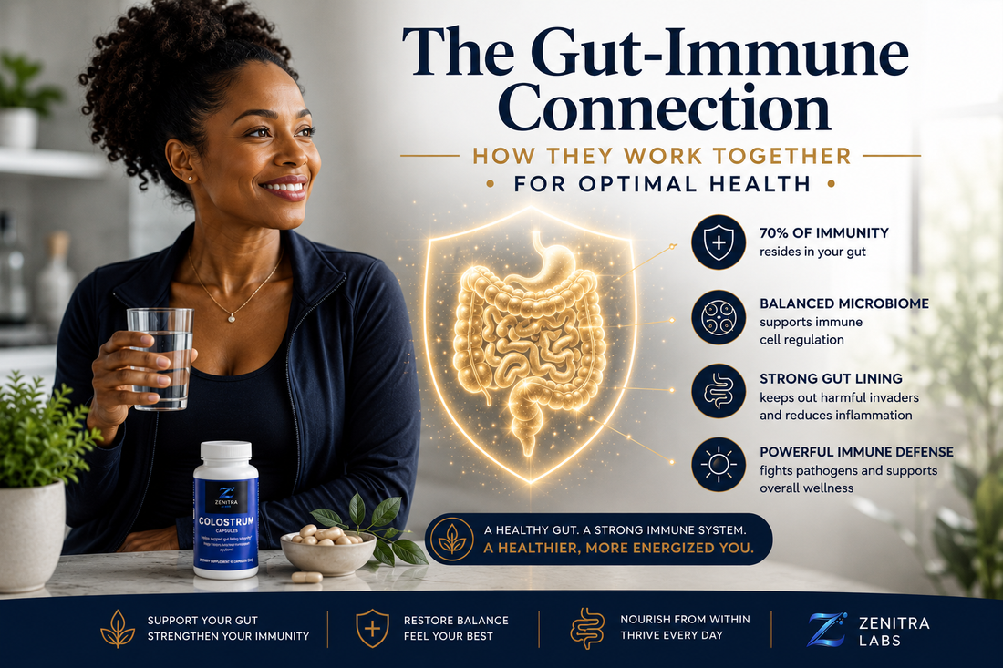 The Gut-Immune Connection: How They Work Together for Optimal Health