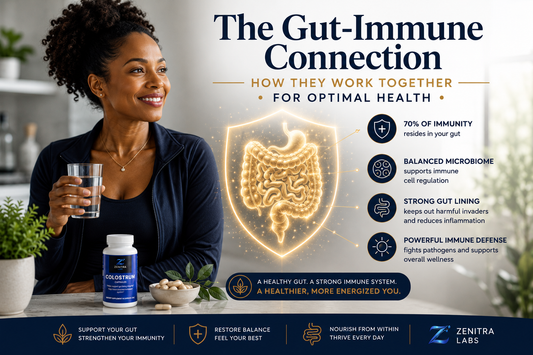 The Gut-Immune Connection: How They Work Together for Optimal Health
